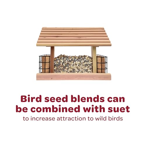 Kaytee Sunflower Treat Bell birds visiting and feeding in a yard.