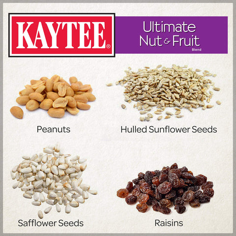 Kaytee Ultimate Nut & Fruit Blend in bird bowl for easy refilling
