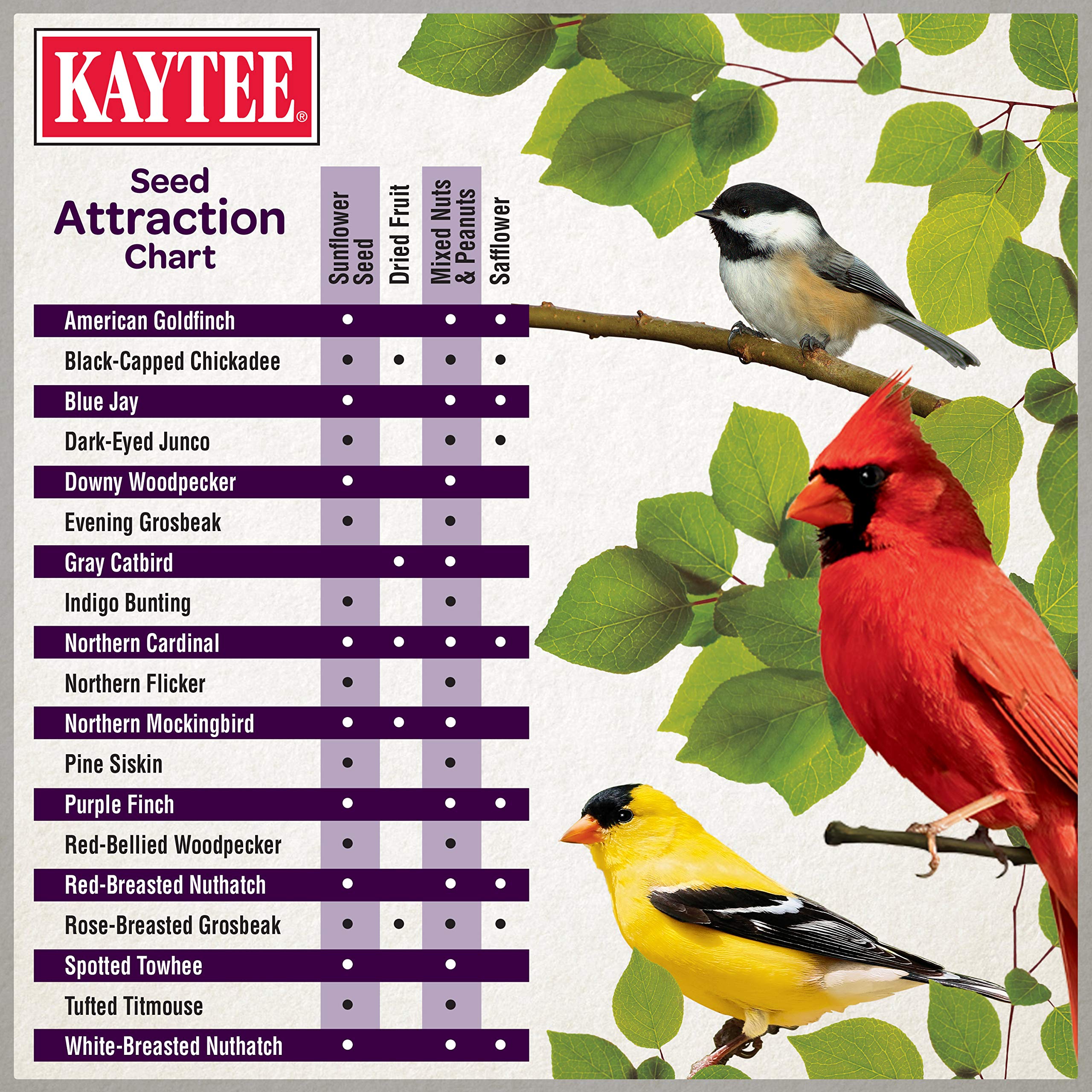 Birds on a feeder enjoying Kaytee Blend mix