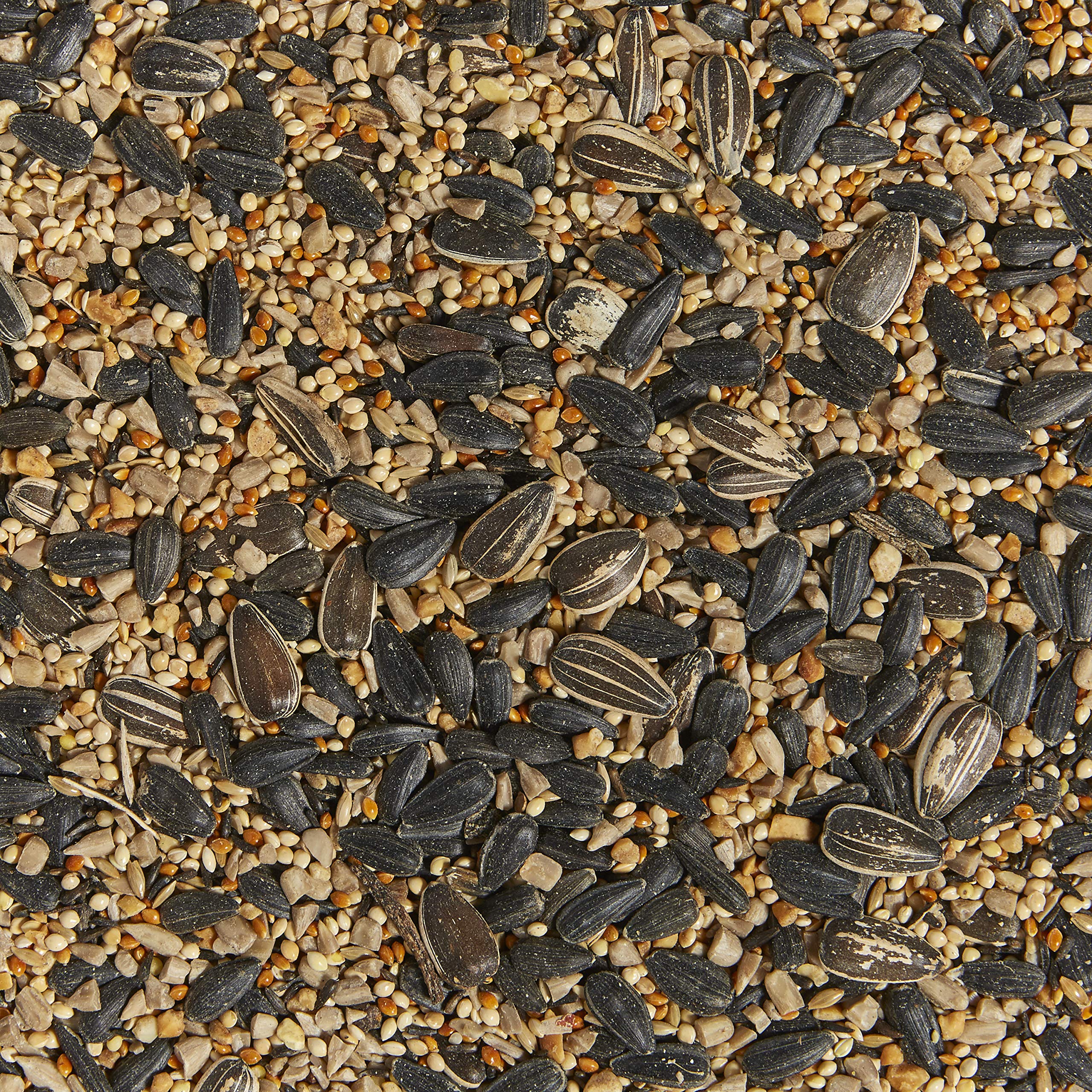 Seed mix in bowl highlights diverse shapes to attract regional songbirds