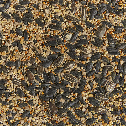 Seed mix in bowl highlights diverse shapes to attract regional songbirds