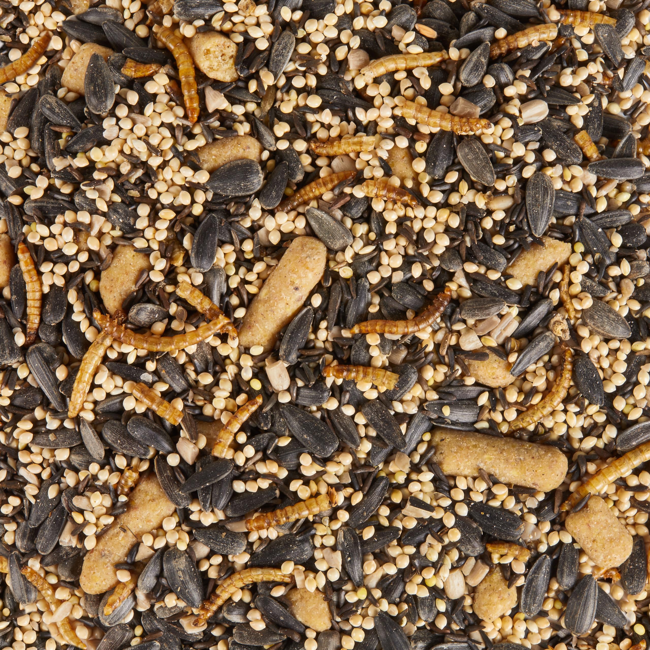 Close-up of Kaytee Spring Migration ingredients highlighting mix diversity