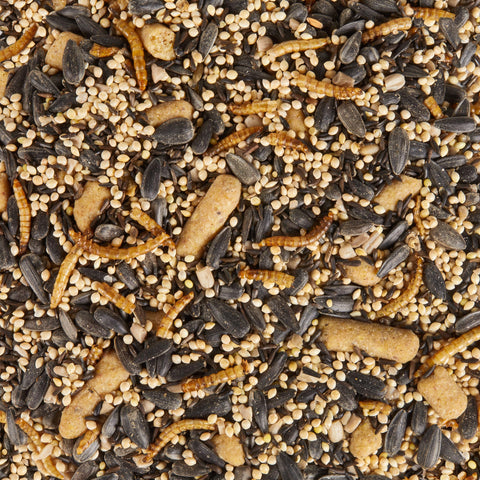 Close-up of Kaytee Spring Migration ingredients highlighting mix diversity