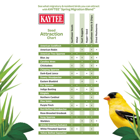 Suet nuggets in Kaytee Spring Migration blend delivering quick energy