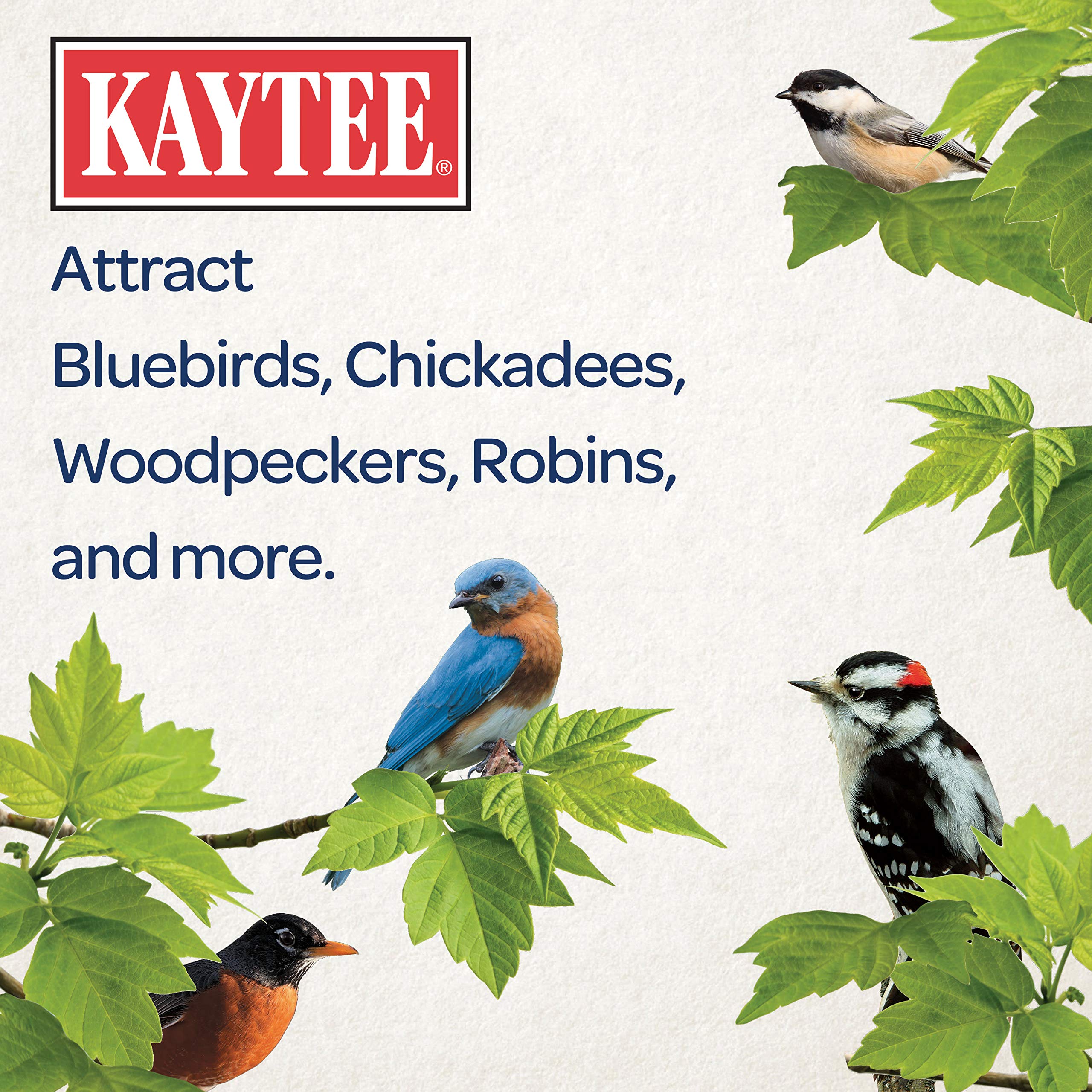 Kaytee Wild Bird Seed & Mealworm Treat Cake is simple to set up and refill