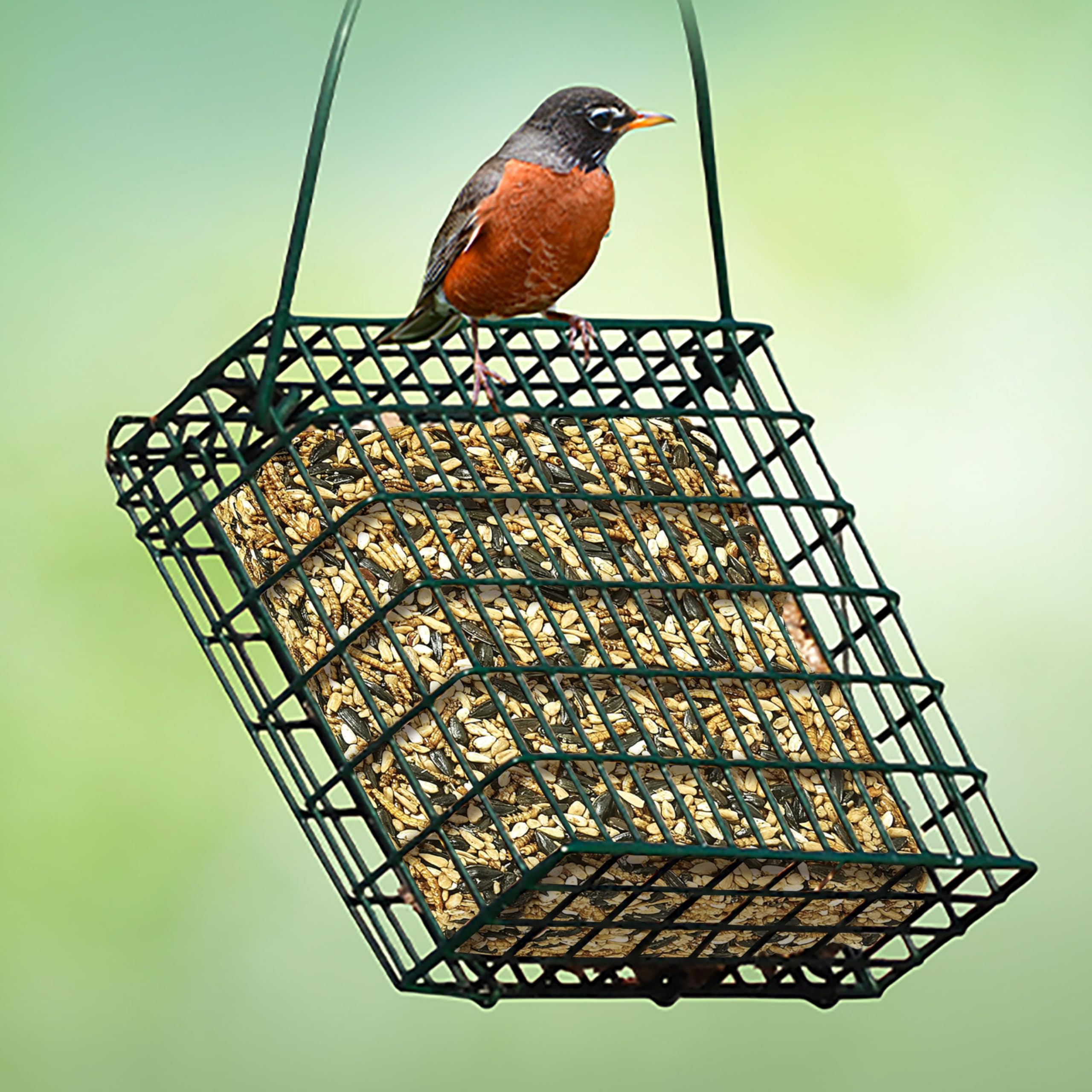 Kaytee Gourmet Seed & Mealworm Treat Cake brings robins to the feeder for easy feeding