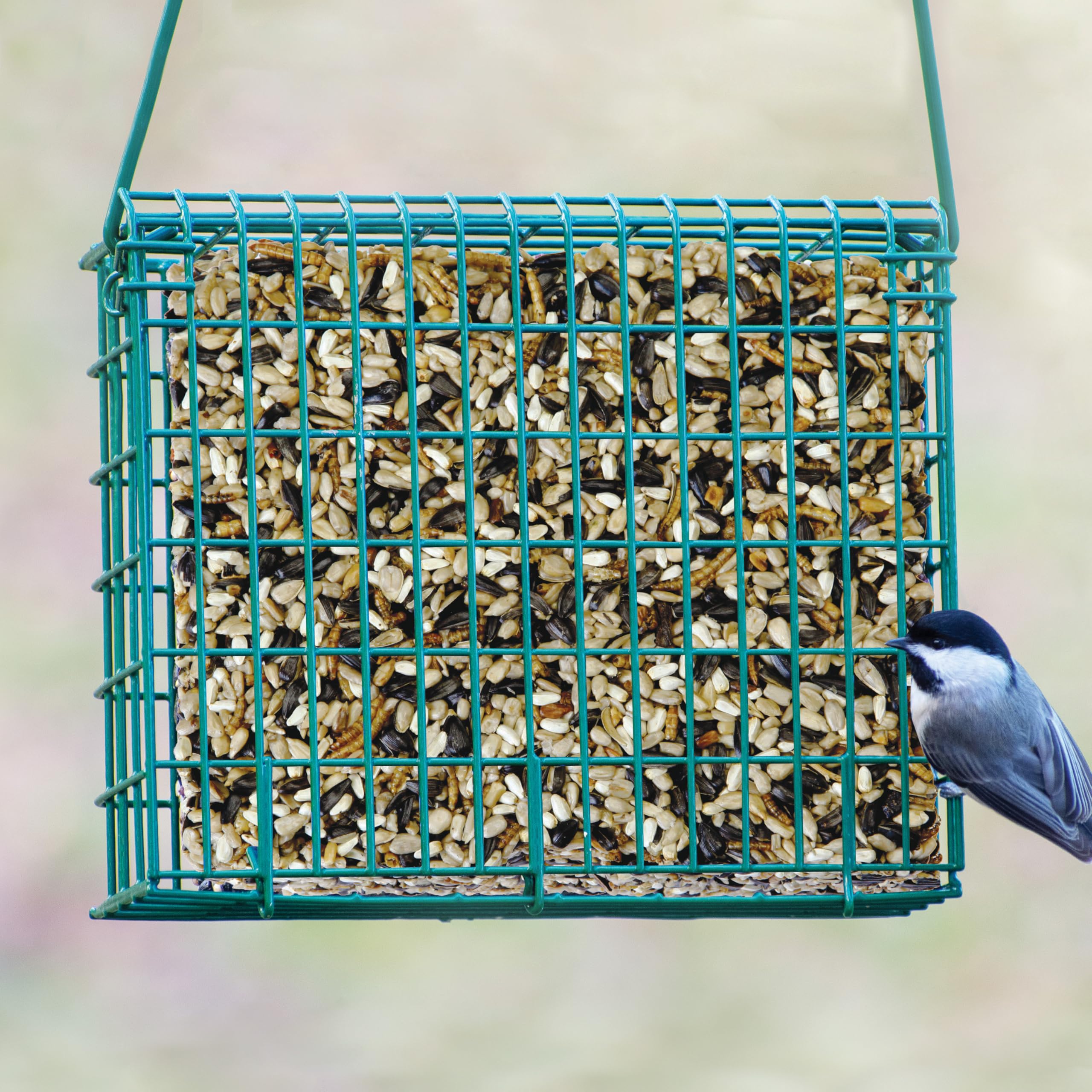 Kaytee Wild Bird Seed & Mealworm Treat Cake invites woodpeckers to sample protein-rich mealworms