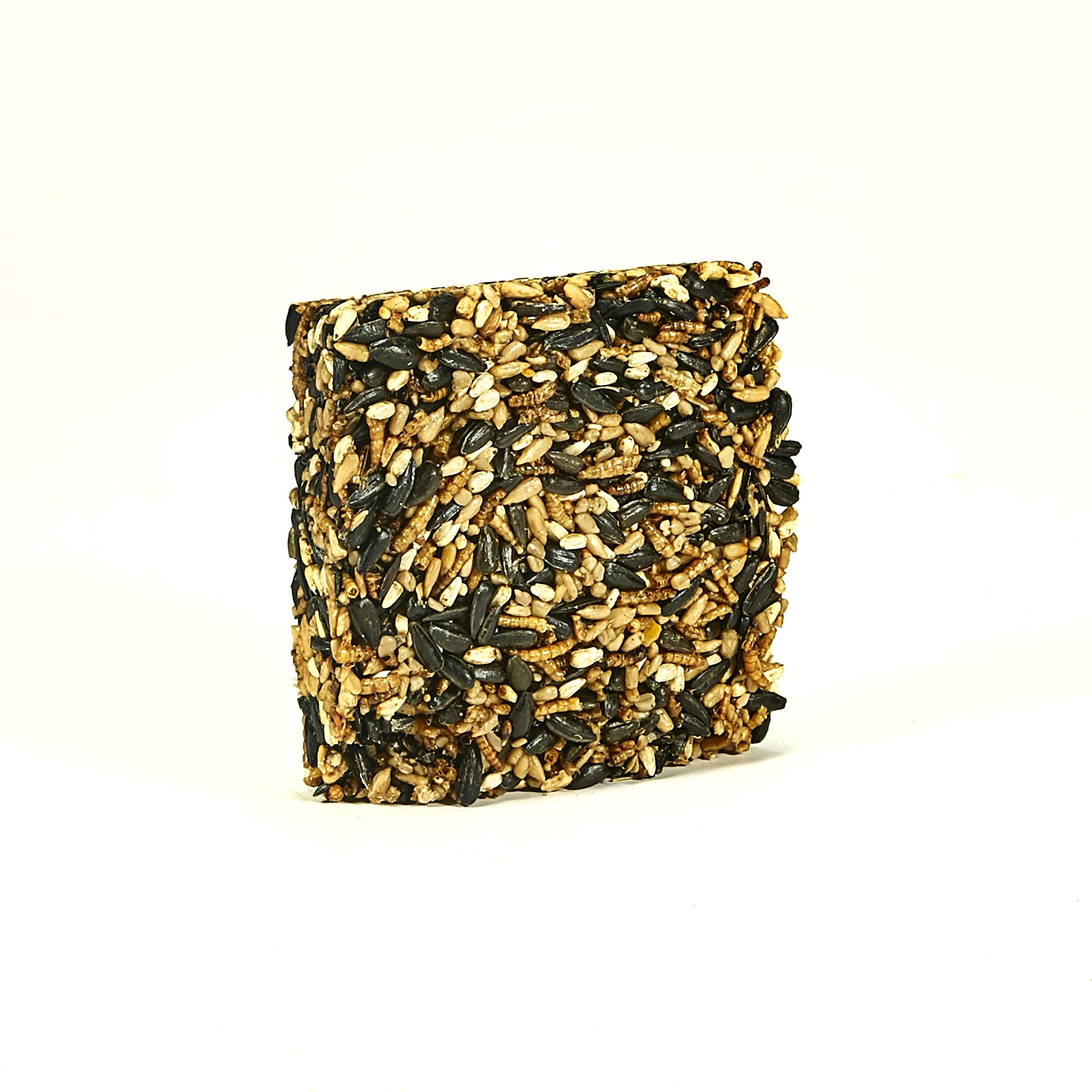 Kaytee Wild Bird Seed & Mealworm Treat Cake in feeder demonstrates easy feeding.