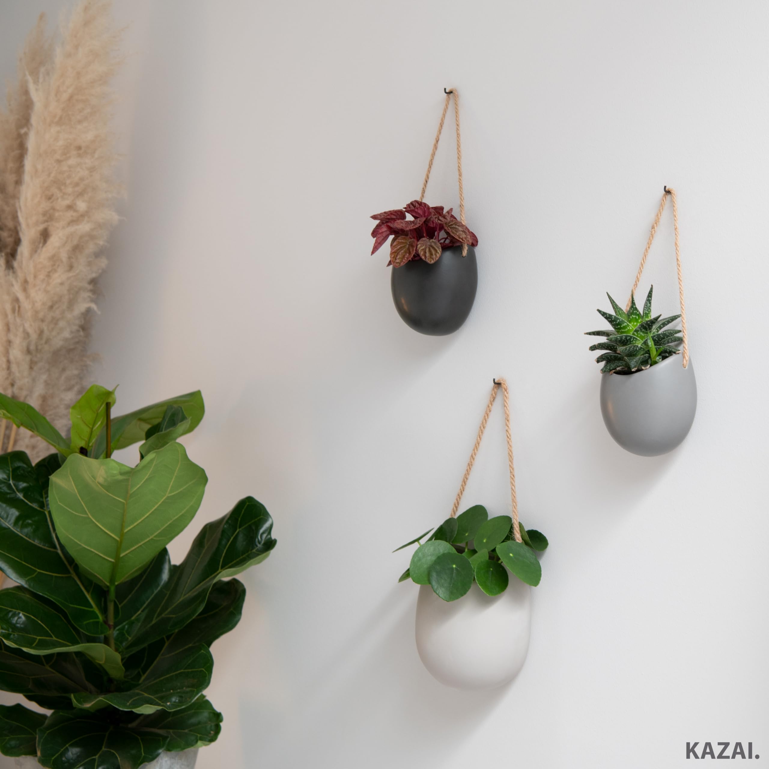 Kazai Ellie wall decor set on a wall and ready to create a lush display