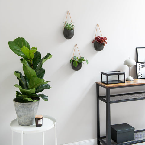 Kazai Ellie wall planters suitable for indoor and outdoor use in any weather