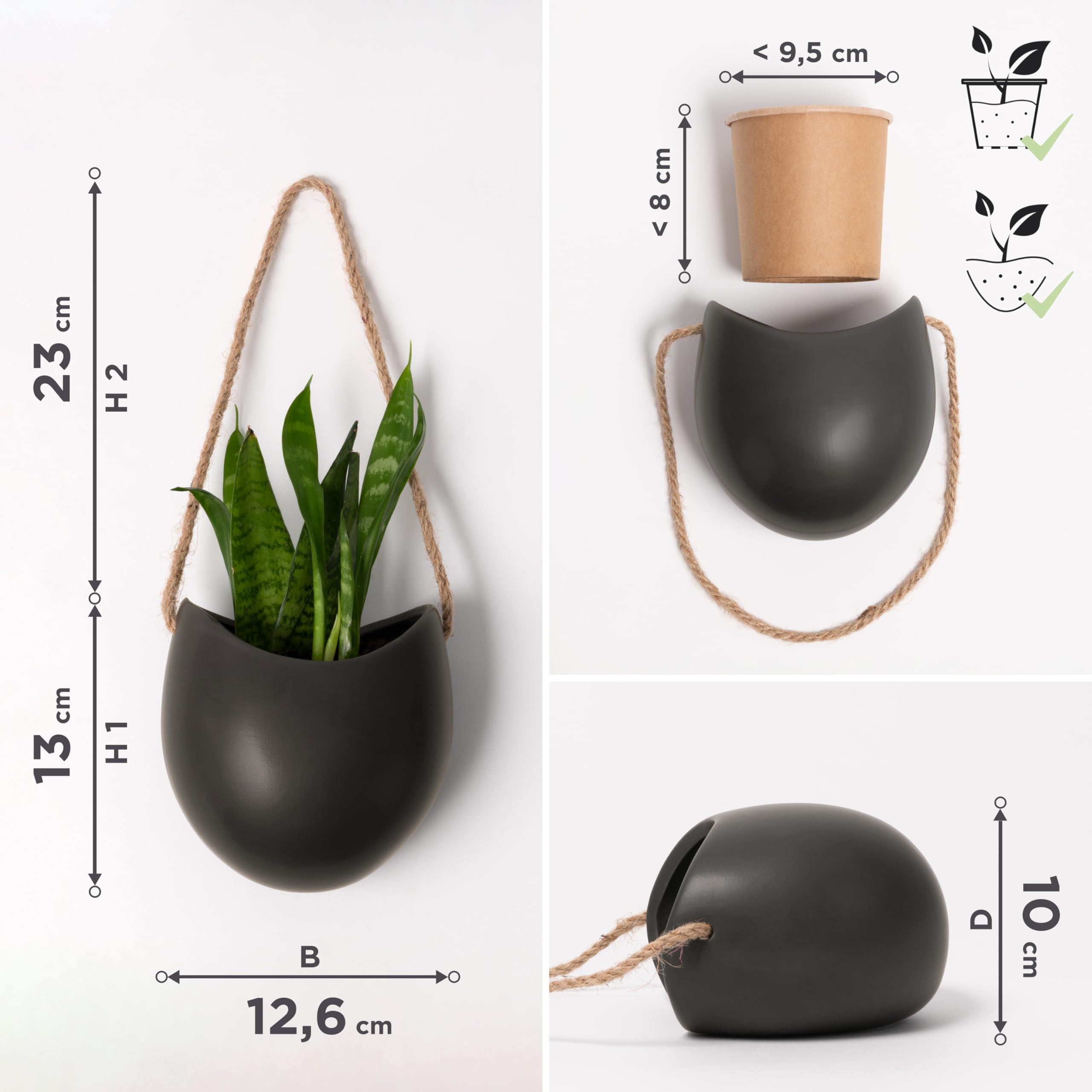 Kazai Ellie planter trio supports various plants including succulents and air plants