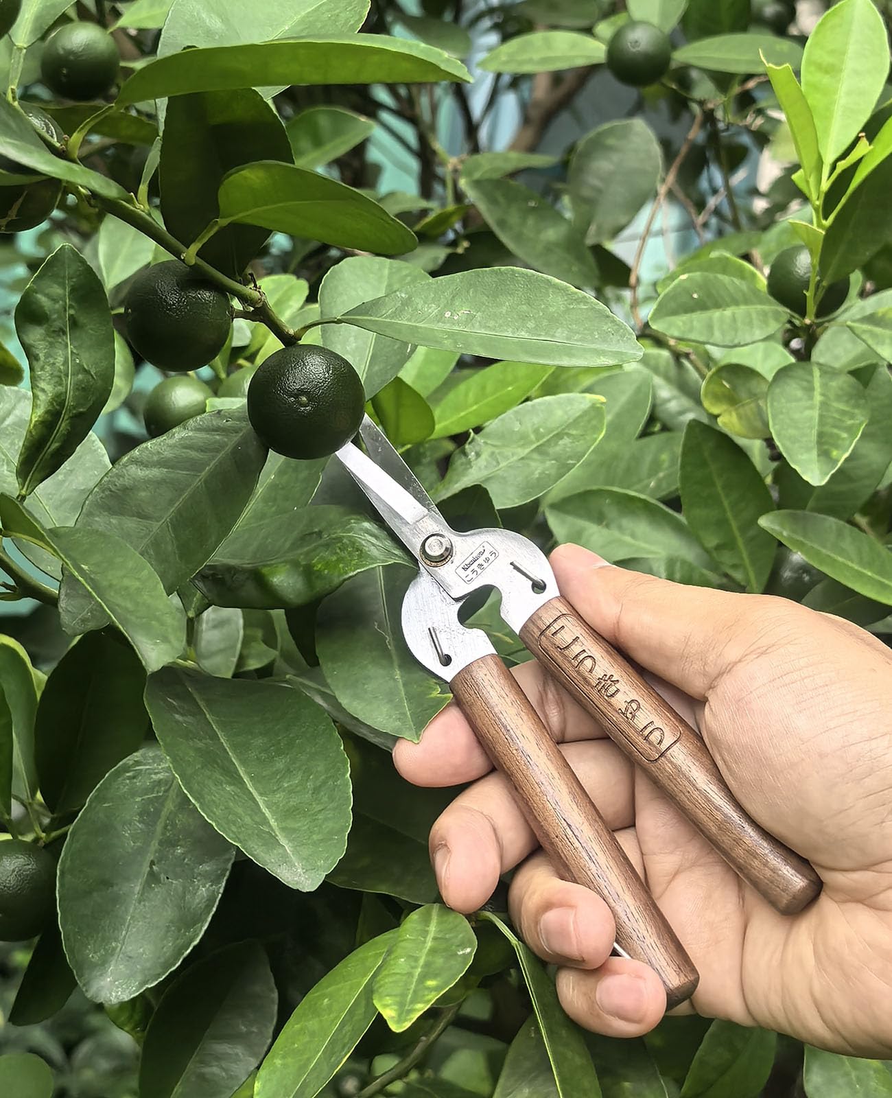 Kbenison surgical-edge point-tip enables access to tight spots for precise trimming