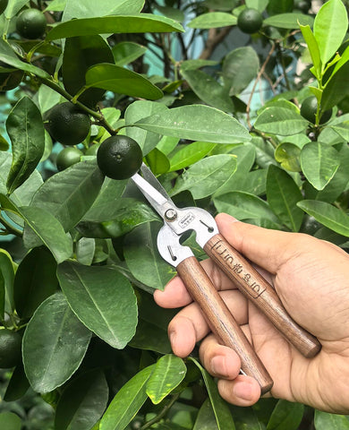 Kbenison surgical-edge point-tip enables access to tight spots for precise trimming