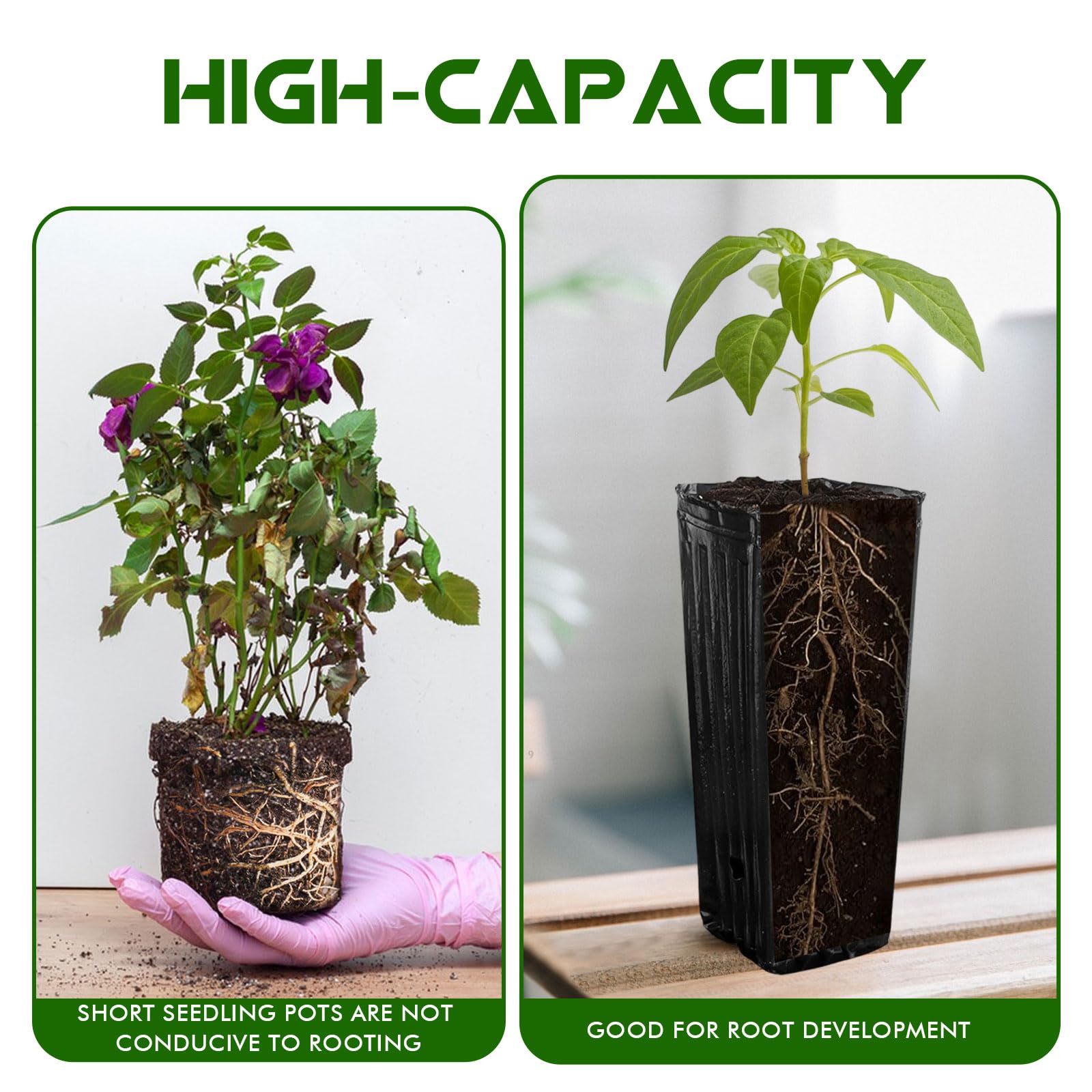 KBOROVER pot with drainage holes enhances air flow and soil drainage for healthier roots.