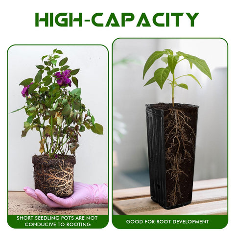 KBOROVER pot with drainage holes enhances air flow and soil drainage for healthier roots.