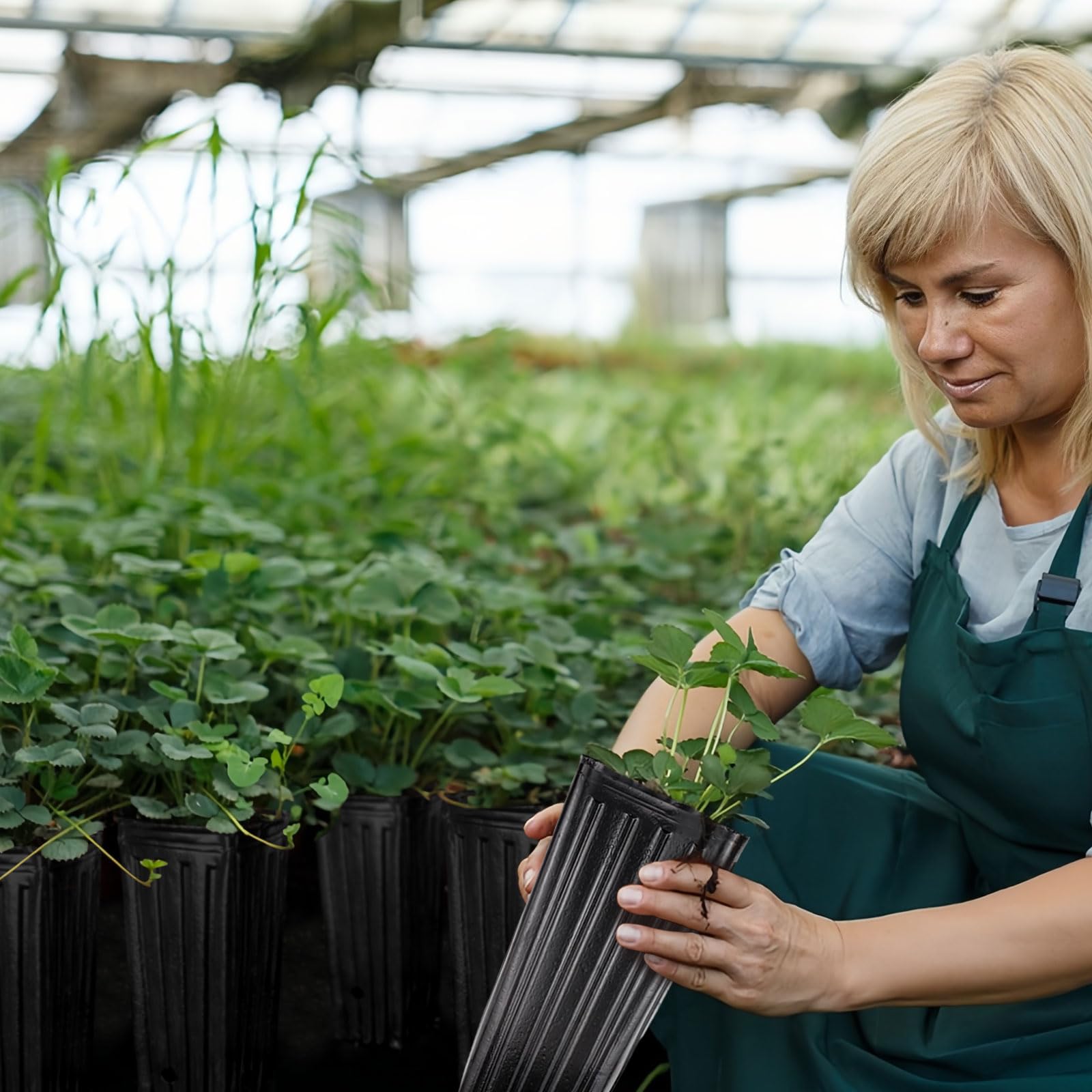 KBOROVER vegetable and flower pots kit suitable for organized seed starting and growth.