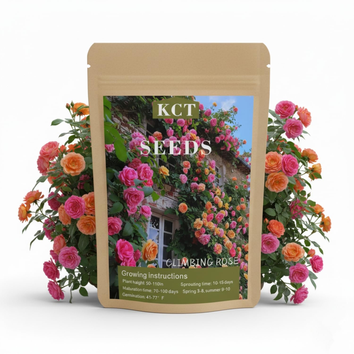 KCT GARDEN 200+ climbing rose seeds pack ready for vibrant vertical gardens