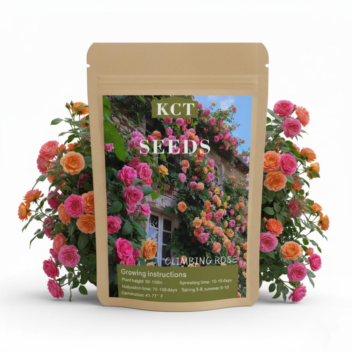 KCT GARDEN 200+ climbing rose seeds pack ready for vibrant vertical gardens