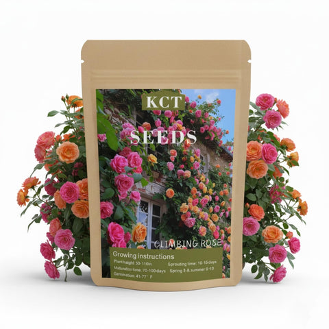 KCT GARDEN 200+ climbing rose seeds pack ready for vibrant vertical gardens