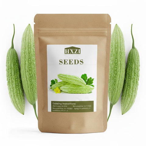 KCT Garden ampalaya seeds in a 40-pack ready for a bountiful harvest.
