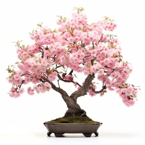 KCT GARDEN Delicate blossoms enhance home decor and calm