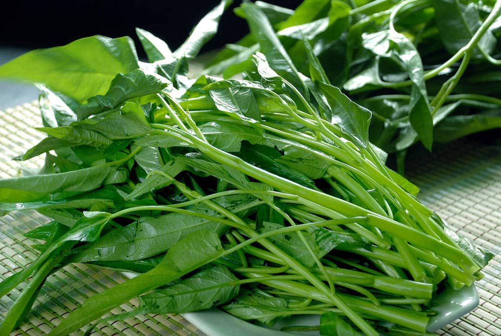 Garden-ready Kong Xin Cai seeds from KCT GARDEN.