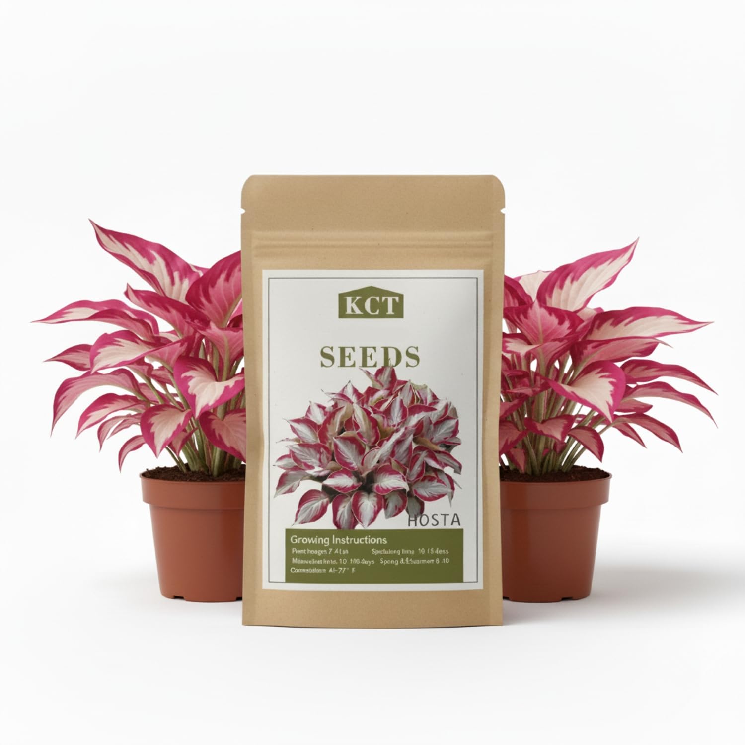 KCT Garden hosta seeds in blue varieties for vibrant shade garden foliage.