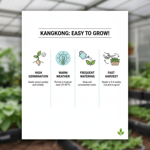 KCT GARDEN Kong Xin Cai for fresh salads.