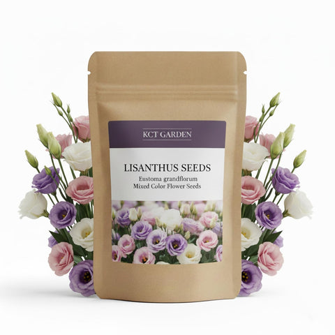 KCT GARDEN Lisianthus seeds pack with mixed colors to brighten garden borders.