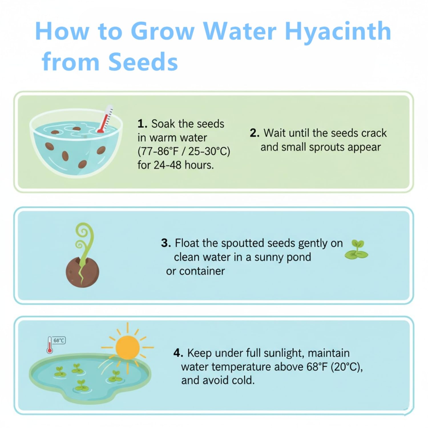 Water hyacinth provides natural filtration in a pond
