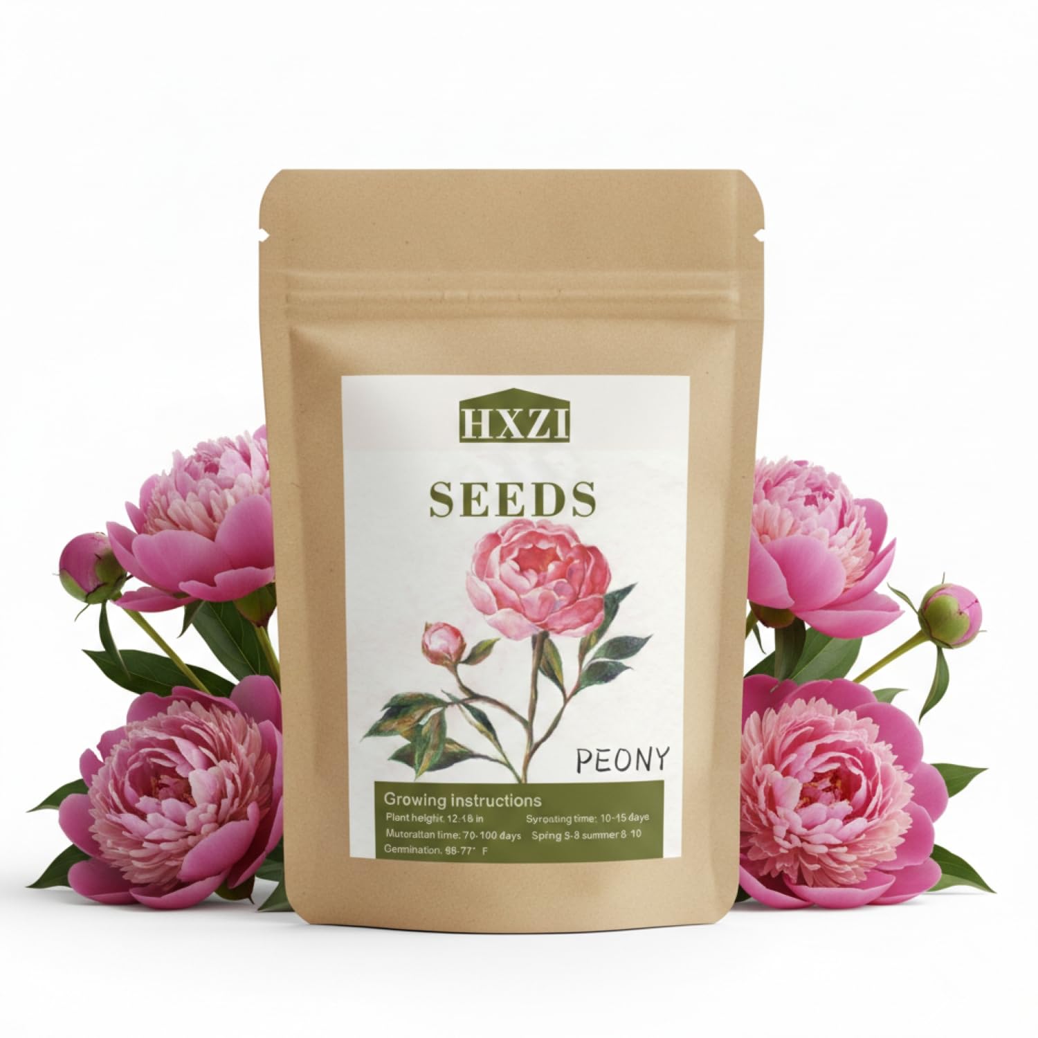 KCT GARDEN peony seeds 50-pack ready for lush garden blooms