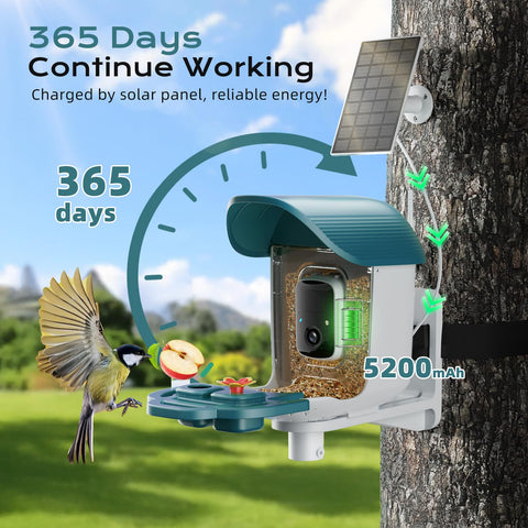 KCUHSI Bird Feeder Camera night vision captures feathers after dusk with color night mode.