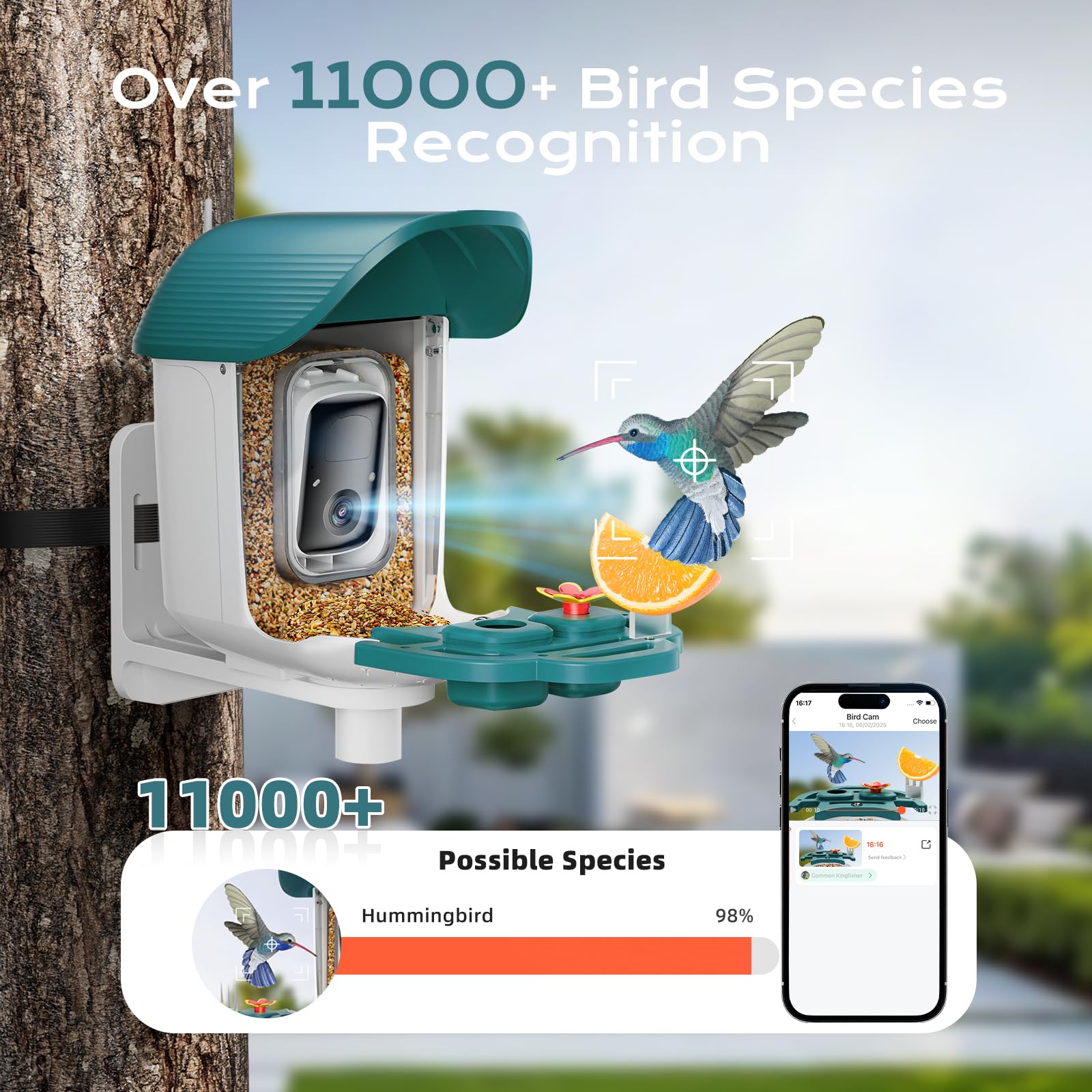 KCUHSI Bird Feeder Camera side view shows solar powering and easy placement.