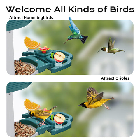 KCUHSI Bird Feeder Camera storage and sharing supports cloud and local clips for easy sharing.