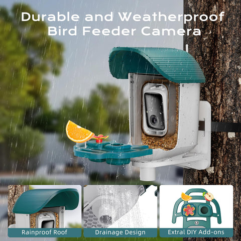 KCUHSI Bird Feeder Camera two-way audio enables live wildlife interaction.