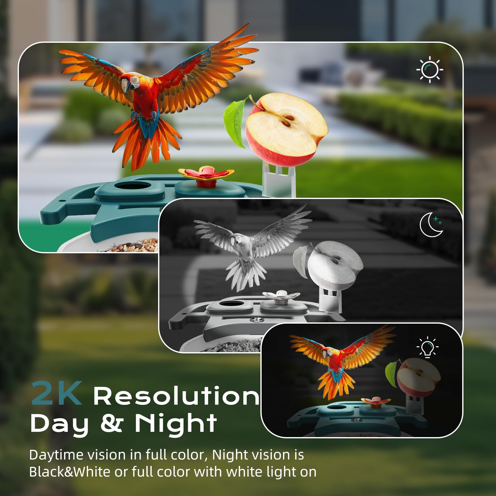 KCUHSI Weatherproof Bird Feeder Camera endures all-weather outdoor use.