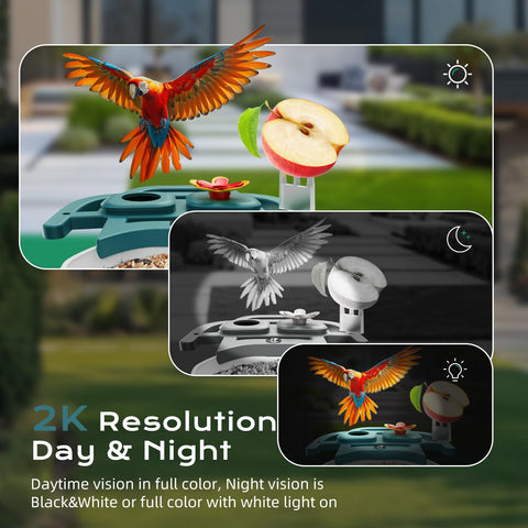 KCUHSI Weatherproof Bird Feeder Camera endures all-weather outdoor use.