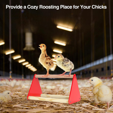 Kculehtlla brooder-friendly kit for indoor or outdoor coops.