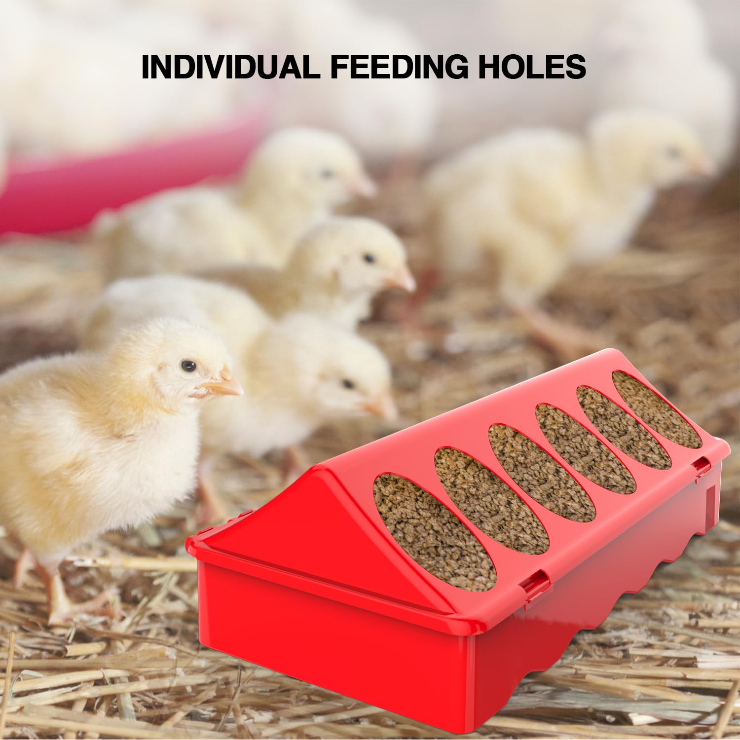 Kculehtlla durable plastic feeder designed for daily flock use.