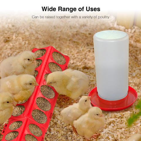 Kculehtlla easy-clean tray supports hygiene and quick maintenance.
