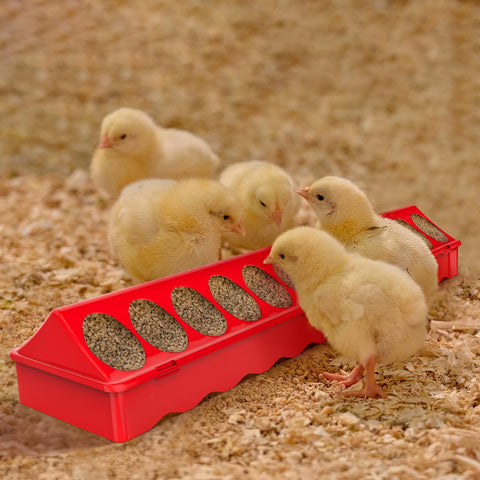 Kculehtlla no-waste chick feeder set supports clean coop management.