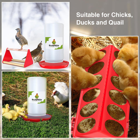 Kculehtlla versatile poultry feeding system for small birds.