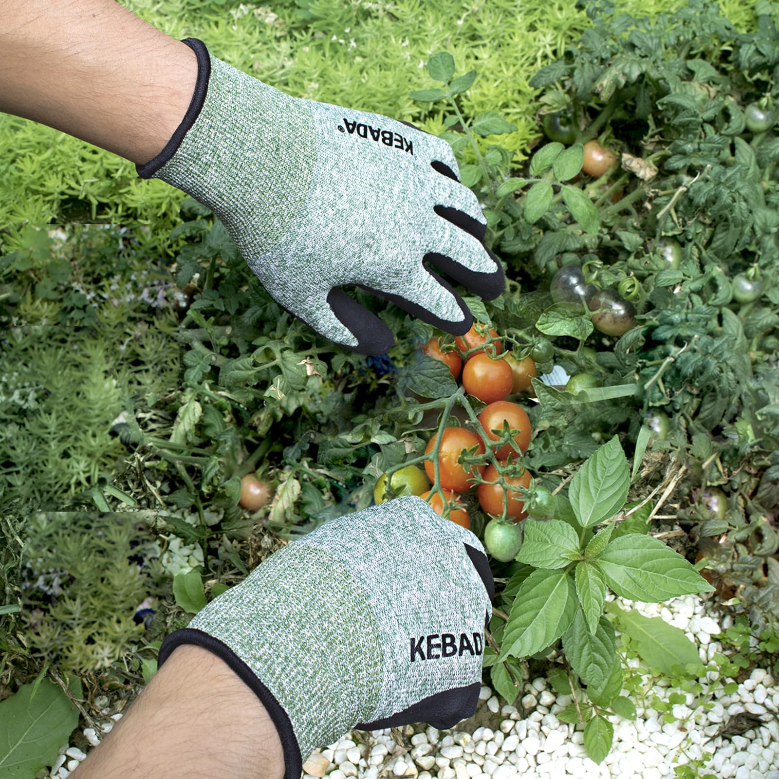 Kebada eco-friendly gift box packaging for gardeners