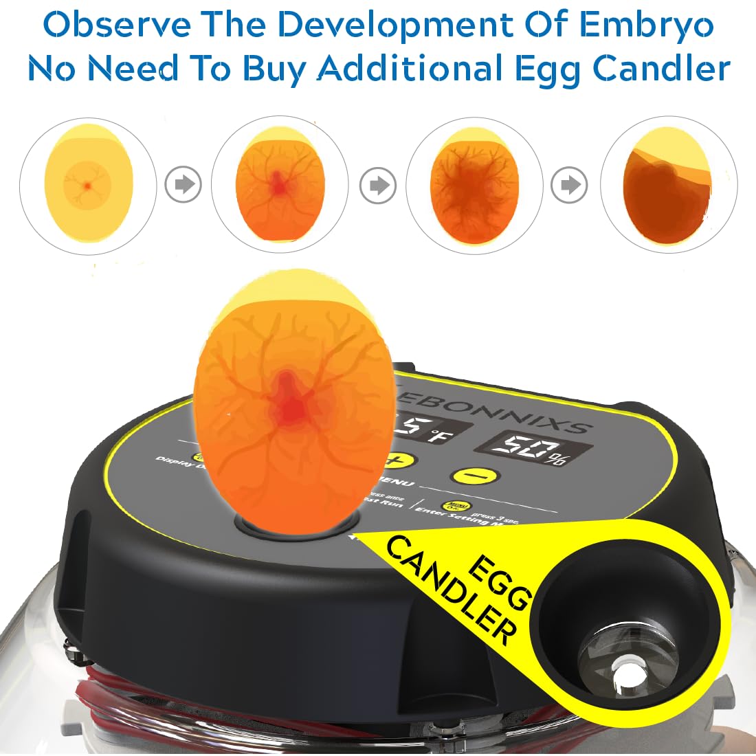 KEBONNIXS 12 Egg Incubator auto-turner keeps eggs turning automatically for even development.