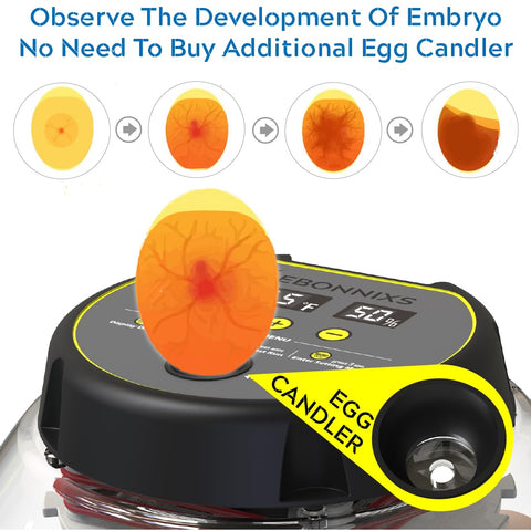 KEBONNIXS 12 Egg Incubator auto-turner keeps eggs turning automatically for even development.