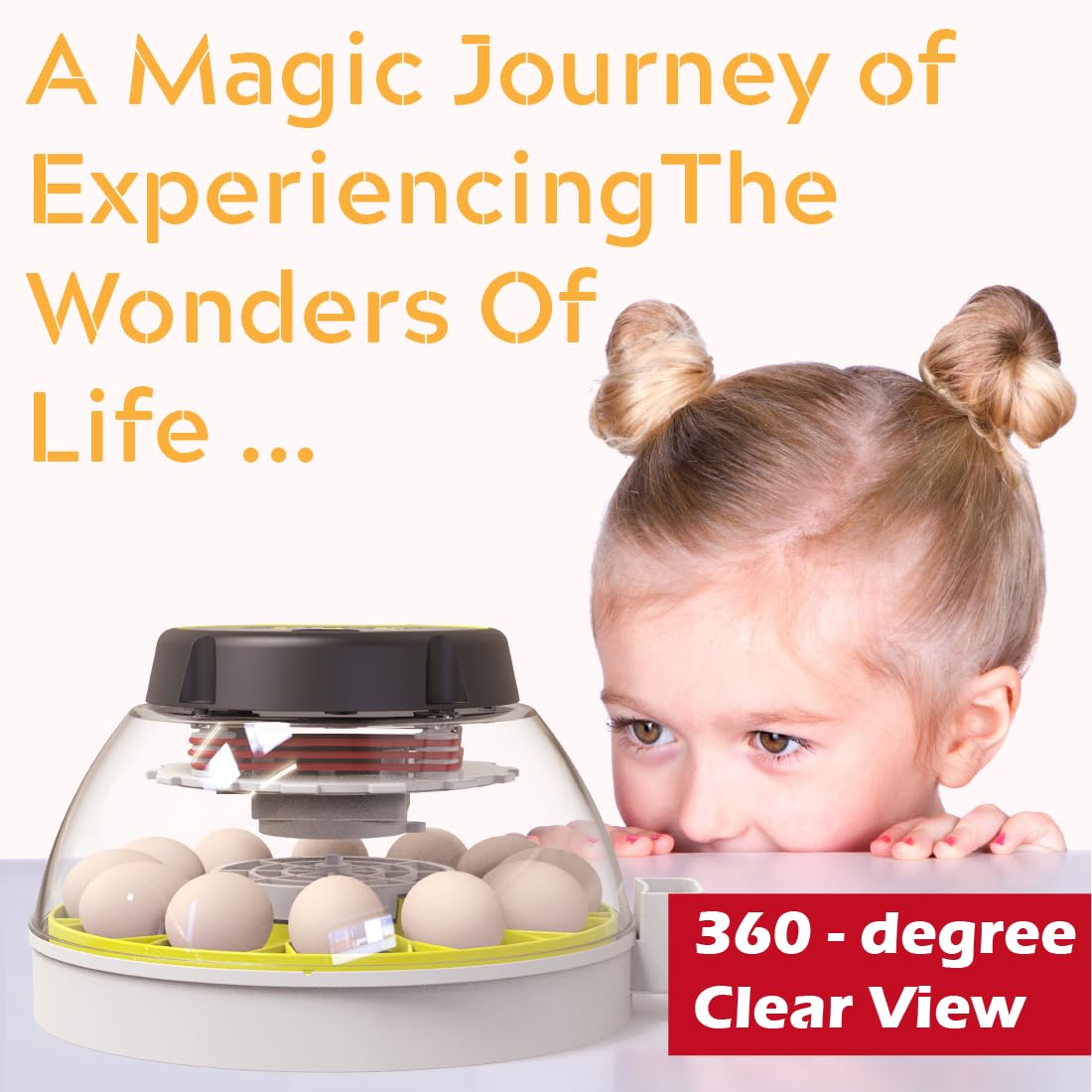 KEBONNIXS 12 Egg Incubator inside view reveals tidy interior for simple management.