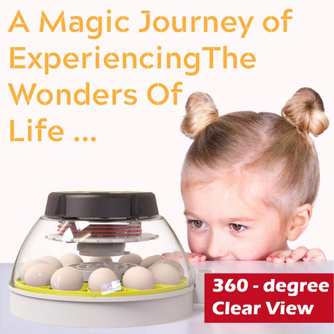 KEBONNIXS 12 Egg Incubator inside view reveals tidy interior for simple management.