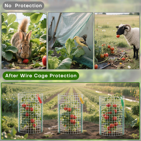 Kecaopdt galvanized mesh close-up showing weather resistance