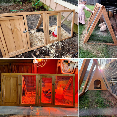 Kecreque rabbit hutch ventilated wire fence for airflow and protection.