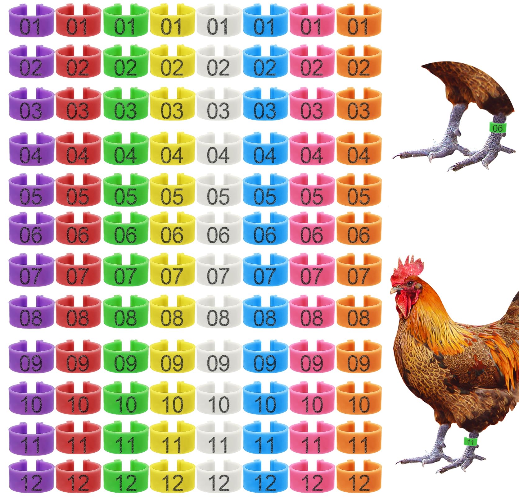 Keedolla eight-color leg rings shown for quick flock tagging